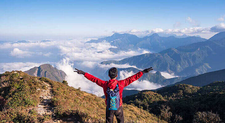 Global Automotive Market Grows to $600 Billion - Directorist