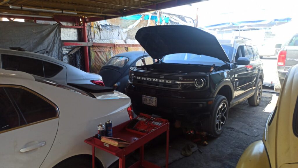 whatsapp image 2026 03 04 at 12.42.31 pm